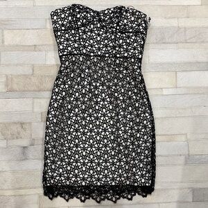 Cynthia Steffe Elegant Black Lace strapless  Dress